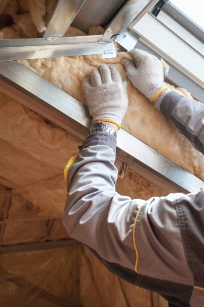 Best Residential Insulation in South Laurel, MD